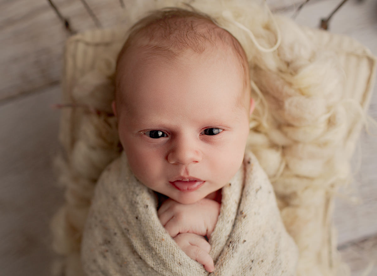 Geelong Newborn - Baby No. 2 Elliott | Little Spring Photography